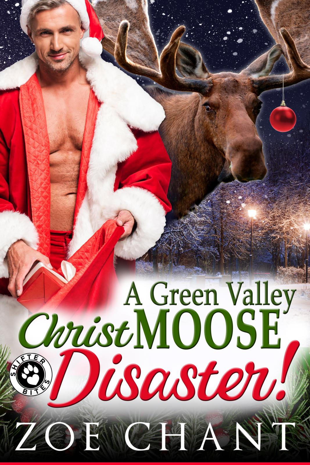 Book Cover A Green Valley Christmoose Disaster